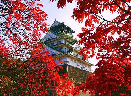 Du lịch Nhật Bản cung đường vàng: Tokyo - Osaka - Kyoto 6 ngày