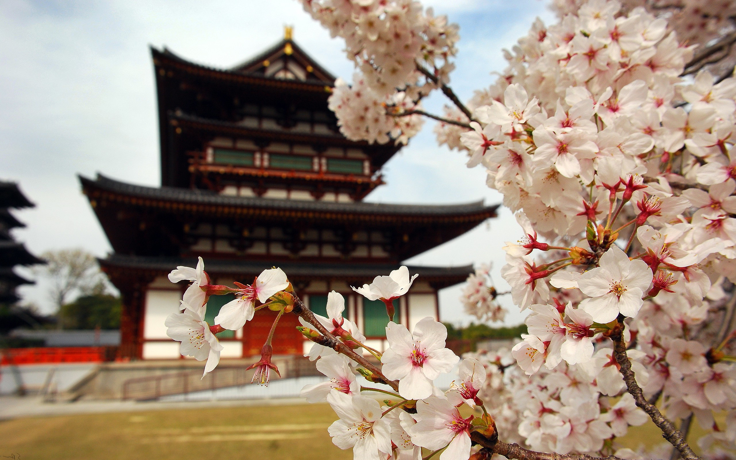 Du lịch Nhật Bản: KYOTO - OSAKA – HIROSHIMA - OKAYAMA 6 ngày