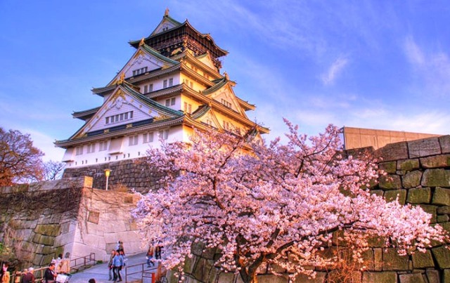 Du lịch Nhật Bản - Ngắm hoa Anh Đào 7 ngày