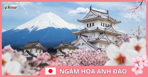 Du lịch Nhật Bản: Osaka - Kyoto - Phú Sỹ - Muira - Tokyo 6 ngày (Bay VN)