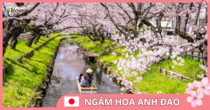 Du lịch Nhật Bản: Tokyo, Fuji, Kyoto, Osaka, Nagoya VJ, 6 ngày