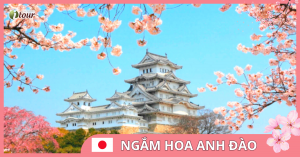 Du lịch Nhật Bản: Tokyo - Hakone - Phú Sỹ 5 ngày VJ