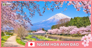 Du lịch Nhật Bản: Tokyo - Phú Sỹ 4 ngày bay VJ
