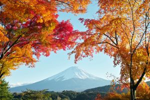 Du lịch Nhật Bản: Tokyo - Phú Sỹ - Hakone - Odaiba 4 ngày VN