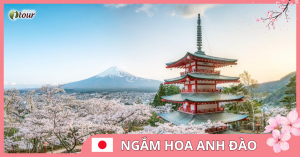 Du lịch Nhật Bản: Tokyo – Fuji – Nagoya - Osaka 6 ngày (VNA)