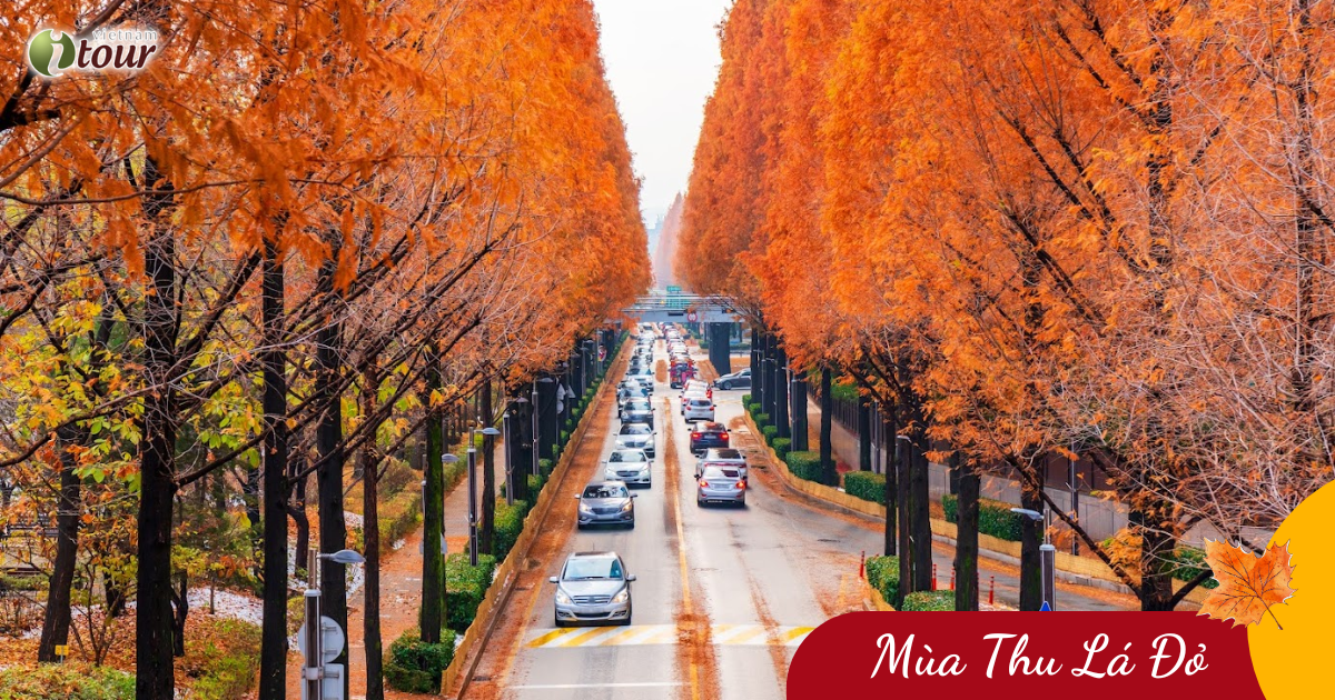 Du Lịch Mùa Thu: Seoul – Nami – Everland (5N4Đ) _ Bay VJ
