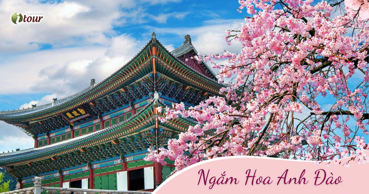 Hàn Quốc Mùa Lá Đỏ: Seoul - Everland - Nami (5N4Đ) _ Bay VJ