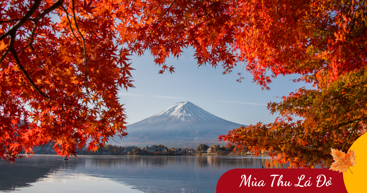 Hành trình mùa thu: Osaka -Kyoto - Fuji - Tokyo (6N5Đ) _ Bay VNA