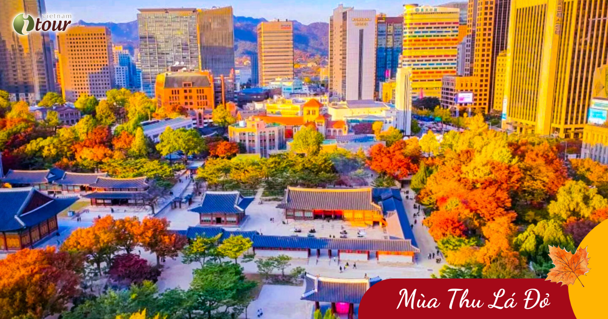 Hành Trình Mùa Thu: Seoul – Nami – Seoul Grand Park (5N4Đ) _ Bay VNA