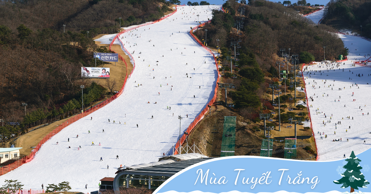 Hành Trình Mùa Tuyết: Seoul - Nami - Lotte World - Trượt Tuyết (5N4D) _ Bay VJ
