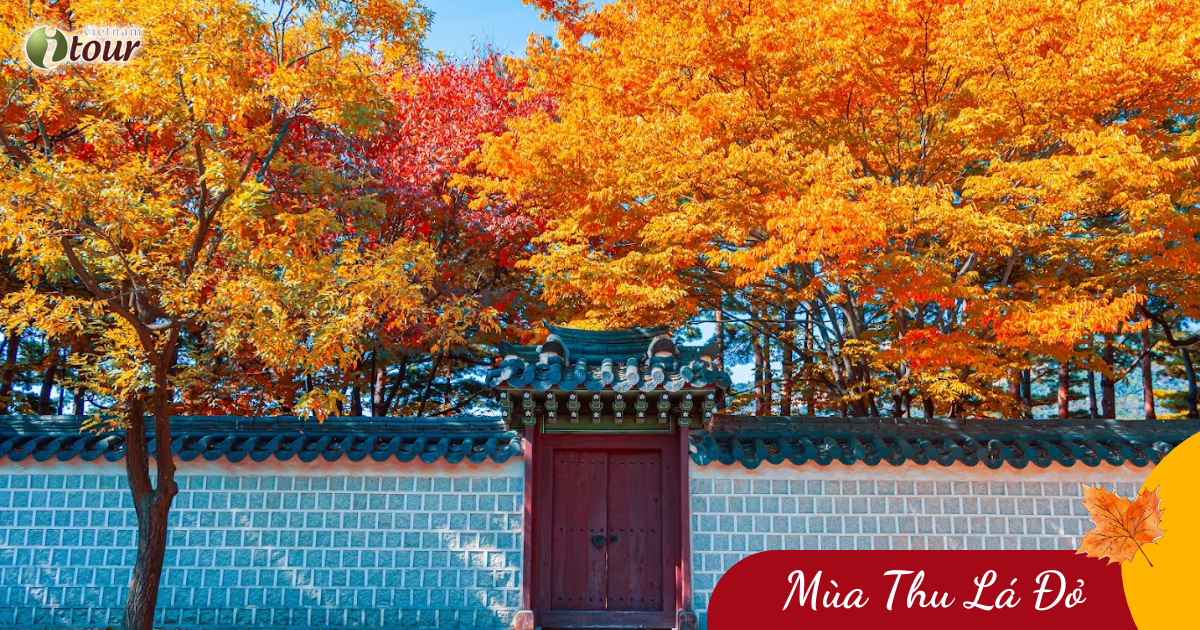 Khám Phá Mùa Thu Seoul – Nami – Everland (5N4Đ) _ Bay VJ