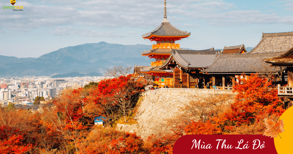 Mùa Lá Đỏ Nhật Bản: Osaka - Kyoto - Fuji - Tokyo (6N5Đ) _ Bay VNA