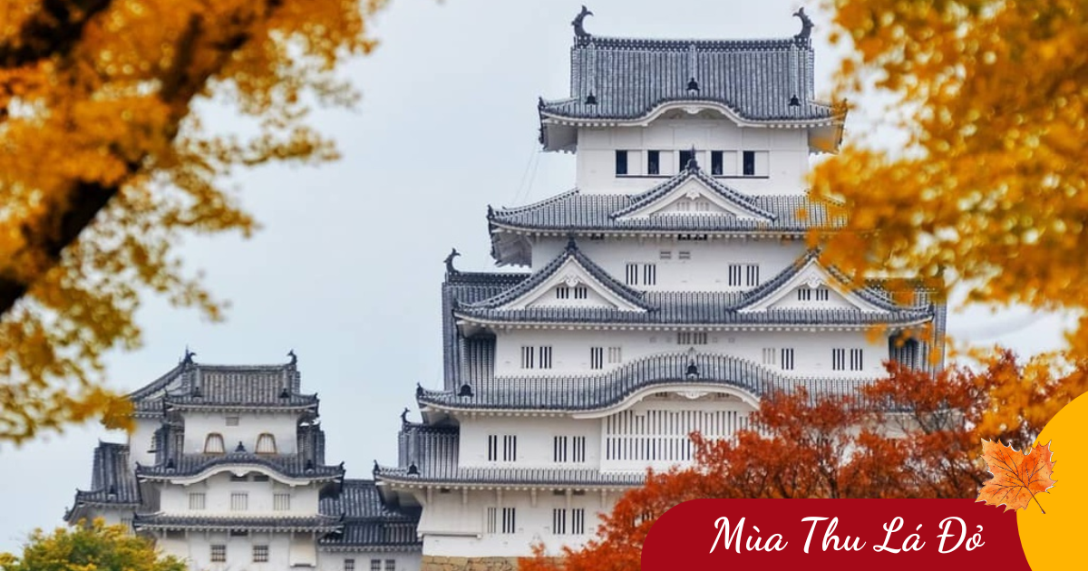 Mùa Lá Đó Nhật Bản: Osaka - Kyoto - Phú Sĩ - Tokyo (6N5Đ) _ Bay VNA