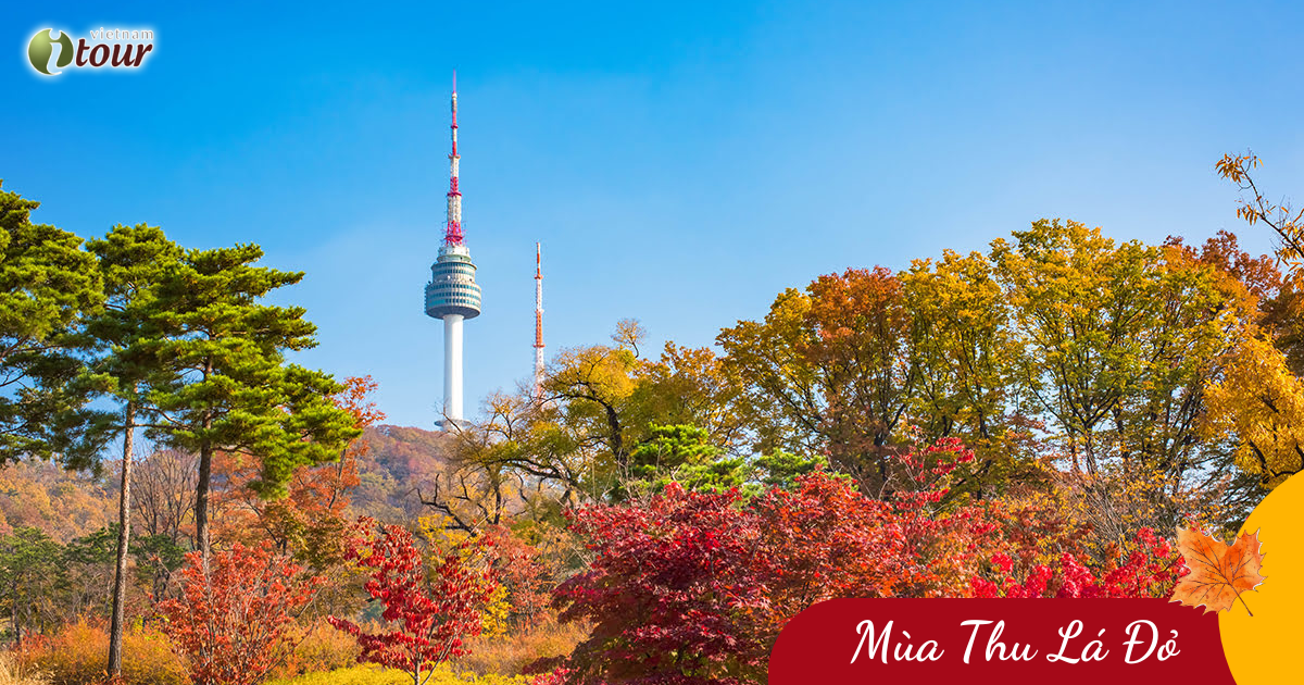 Mùa Thu Hàn Quốc: Seoul – Nami – Seoul Grand Park (5N4Đ) _ Bay VNA