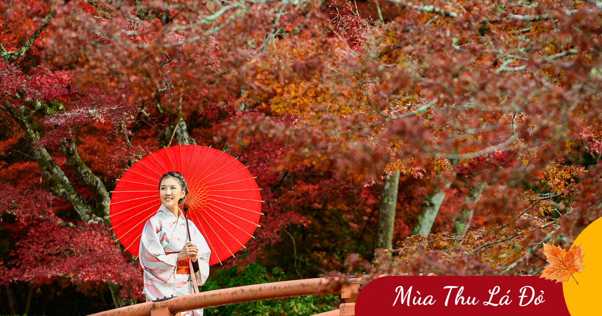 Mùa Thu Nhật Bản: Osaka - Kobe - Fuji - Tokyo (6N5Đ) _ Bay VJ