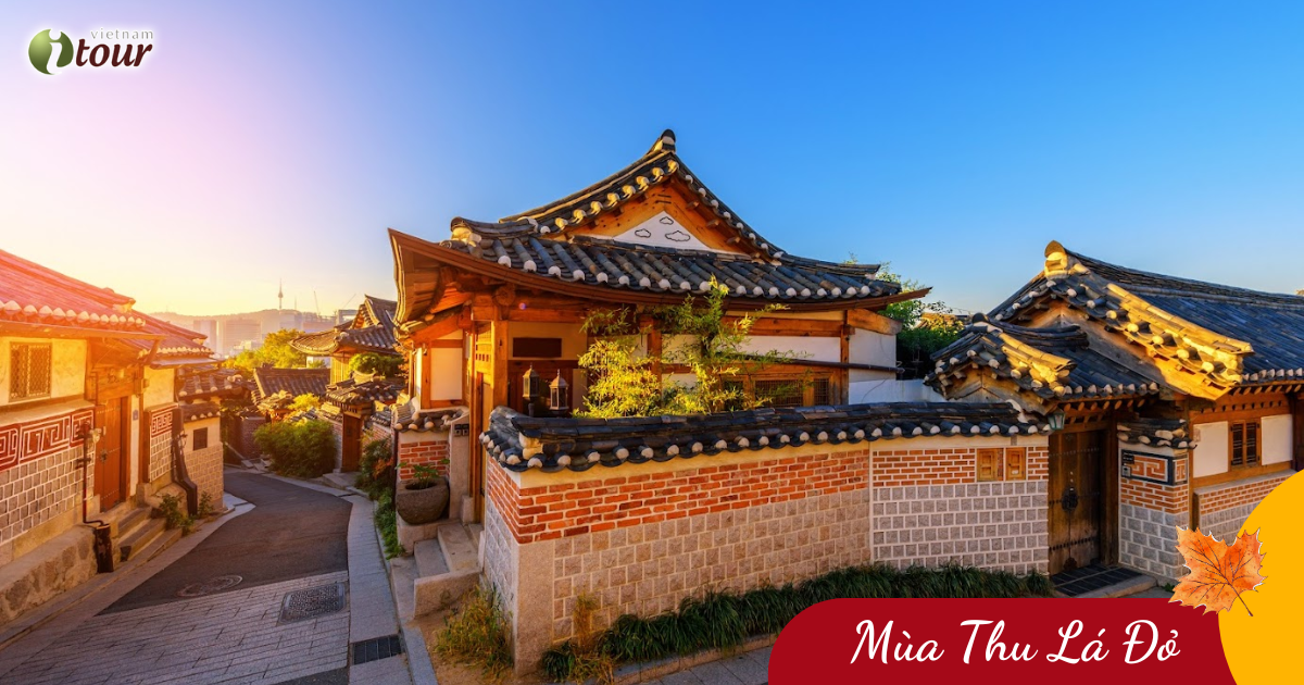 Mùa Thu Vàng: Seoul – Nami – Everland – Namsan (5N4Đ) _ Bay VNA