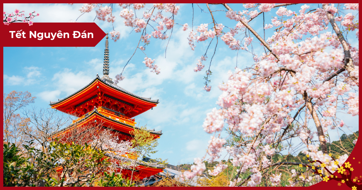 Du Lịch Nhật Bản: Nara – Osaka – Kyoto – Phú Sĩ – Tokyo (6N5D) _ Bay VNA