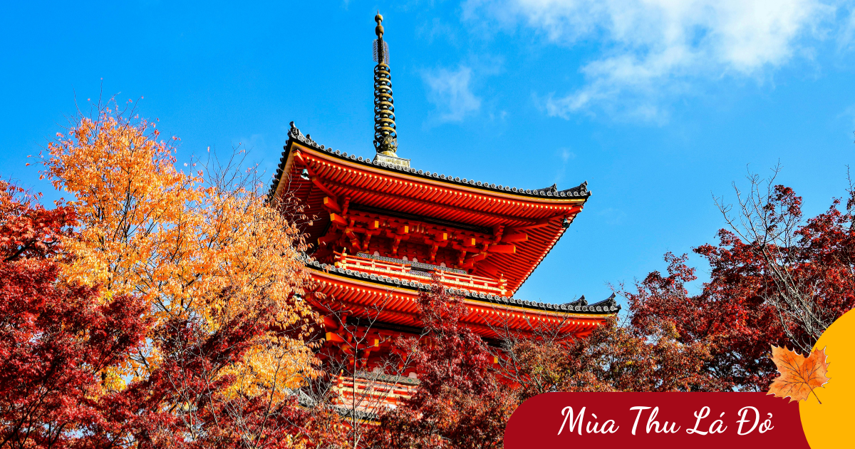 Nhật Bản Mùa Thu: Tokyo - Okinawa - Phú Sỹ, (6N5Đ) _ Bay NH