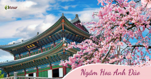 Hàn Quốc Mùa Lá Đỏ: Seoul - Everland - Nami (5N4Đ) _ Bay VJ